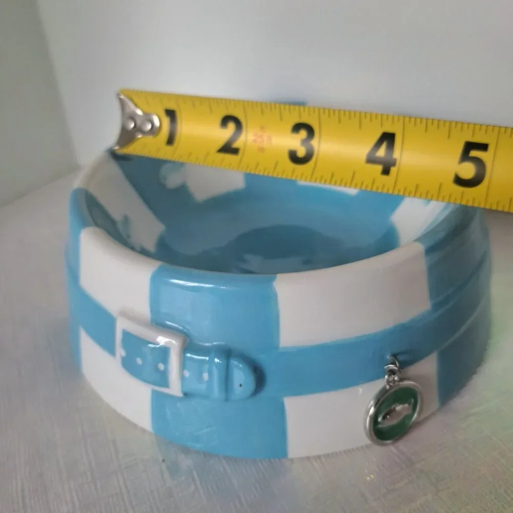 Cat Bowl Ceramic, Round Food Bowl, Pre-owned Great Condition, Blue & White Shiny